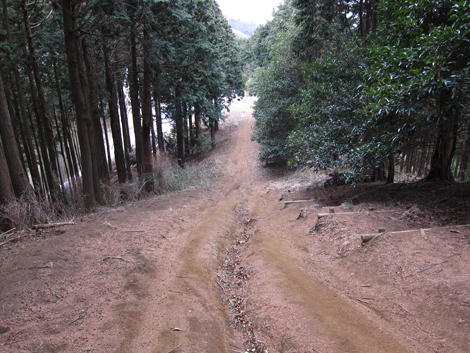 20190214hike (258)